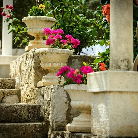 Mali Raj Guest house Zaton (Dubrovnik-Neretva)