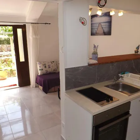 Mali Raj Guest house 3*