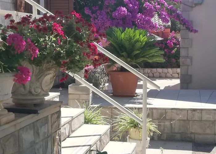 Mali Raj 4* Затон