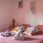 Mali Raj 招待所 扎通