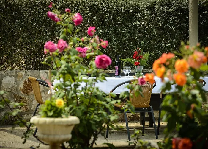 Guest house Mali Raj 4*