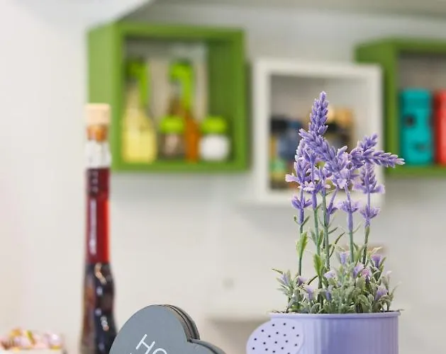 Mali Raj Guest house